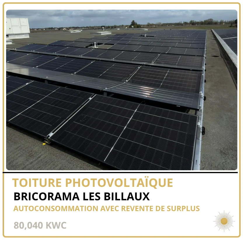 BRICORAMA LES BILLAUX — Les Billaux (33), 80,04 kWc